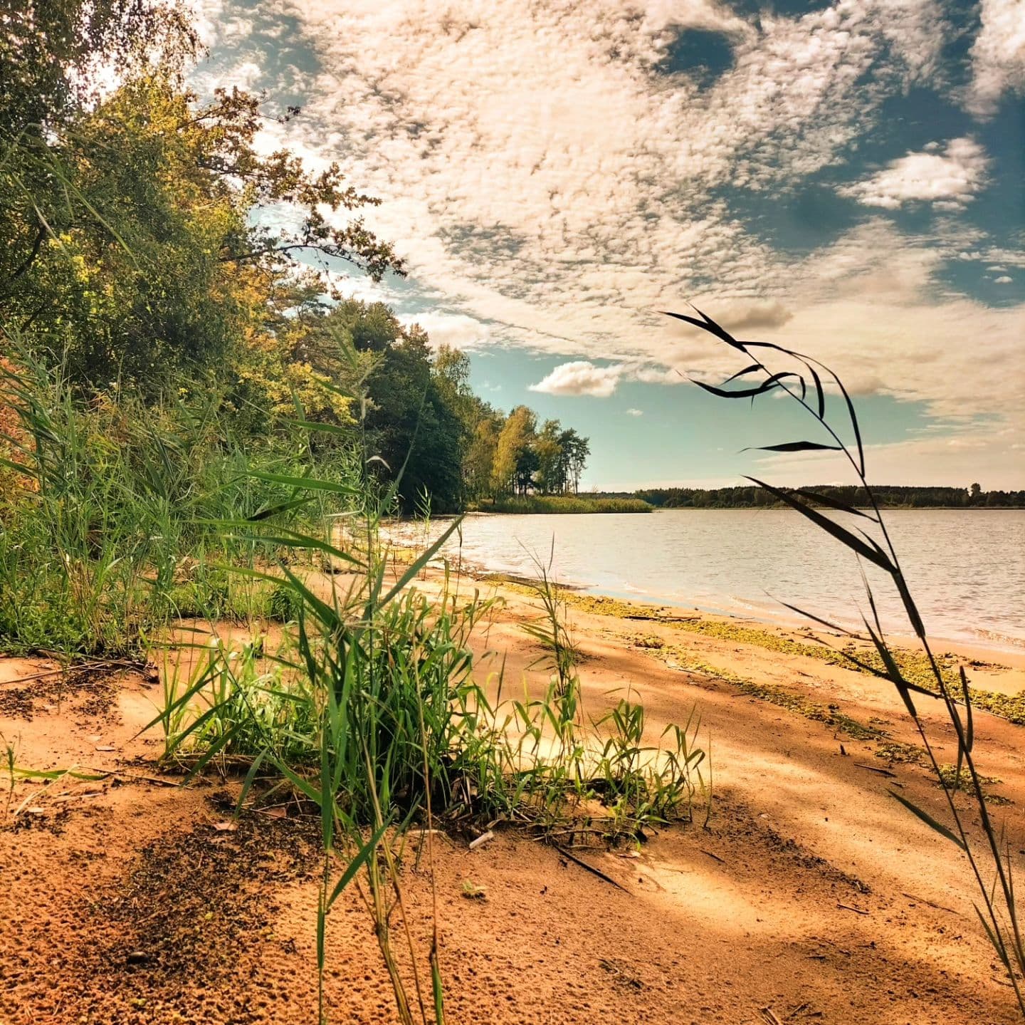 Photo by Igor Kowalczyk